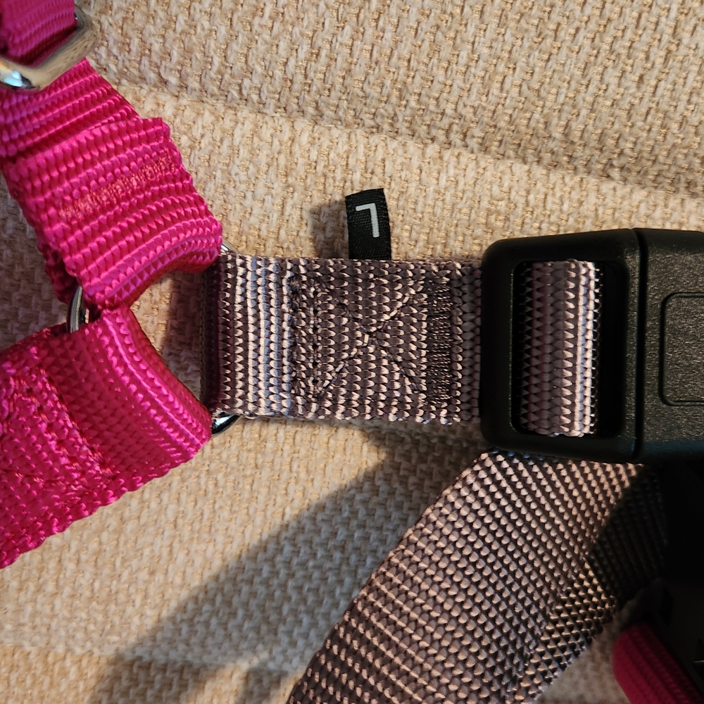 PetSafe Raspberry Dog Harness - Picture 3 of 3